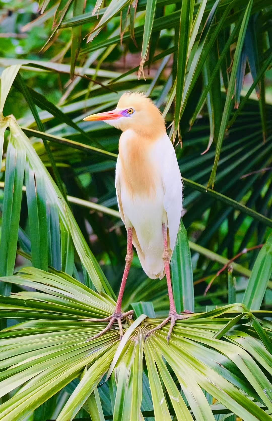 c37e31f7a8d46e92480c0d2f121fdcd7