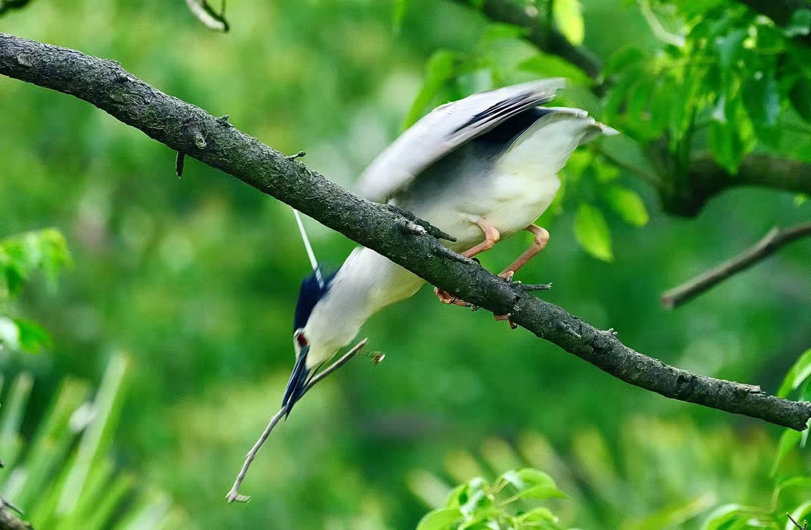 ccef5d7259e77913fc2730bf77941309